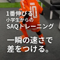 画像243
