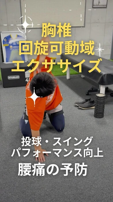画像266