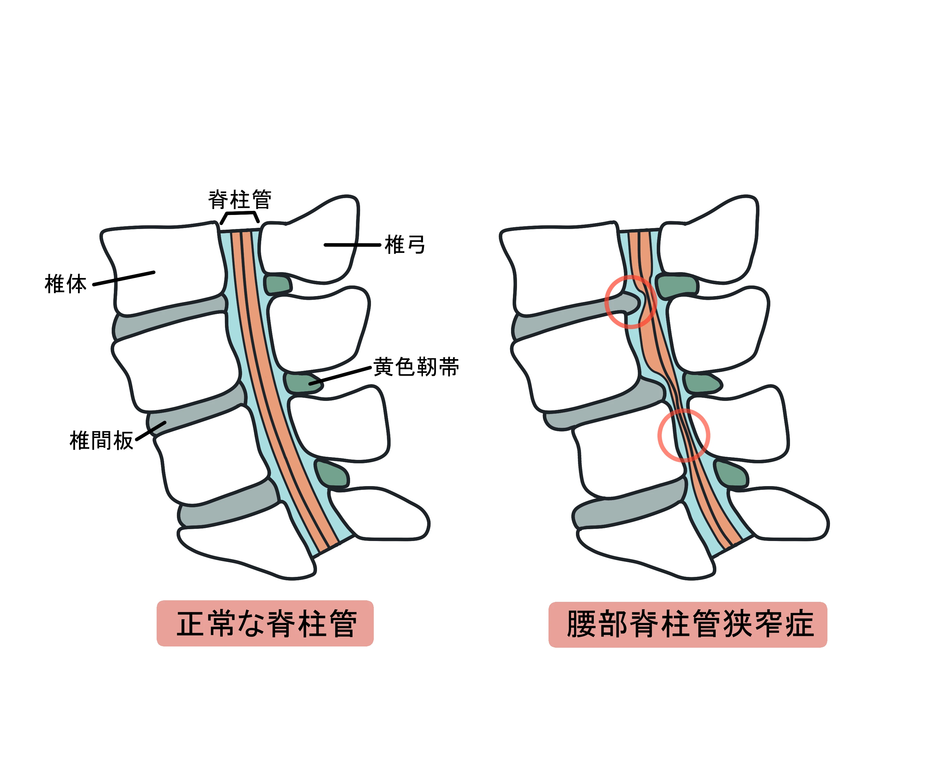 行政書士13